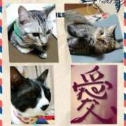 ヒメ日記 2025/05/31 05:04 投稿 かおり 人妻美人館