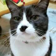 ヒメ日記 2025/06/11 00:36 投稿 かおり 人妻美人館