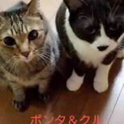 ヒメ日記 2025/06/14 04:25 投稿 かおり 人妻美人館