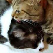 ヒメ日記 2025/06/18 02:55 投稿 かおり 人妻美人館