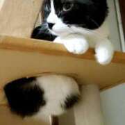 ヒメ日記 2025/06/20 04:19 投稿 かおり 人妻美人館