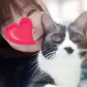 ヒメ日記 2025/06/24 04:28 投稿 かおり 人妻美人館