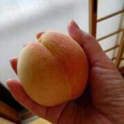 ヒメ日記 2025/06/28 02:12 投稿 かおり 人妻美人館