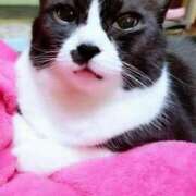 ヒメ日記 2025/07/02 05:53 投稿 かおり 人妻美人館