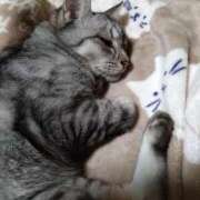 ヒメ日記 2025/07/27 03:42 投稿 かおり 人妻美人館