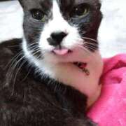 ヒメ日記 2025/07/28 16:03 投稿 かおり 人妻美人館