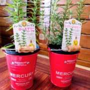 ヒメ日記 2025/09/24 16:26 投稿 かおり 人妻美人館