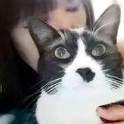 ヒメ日記 2025/10/18 17:20 投稿 かおり 人妻美人館