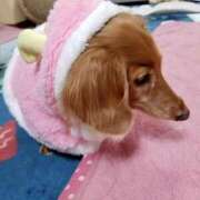 ヒメ日記 2025/11/10 20:44 投稿 かおり 人妻美人館