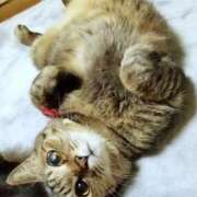 ヒメ日記 2025/11/18 14:26 投稿 かおり 人妻美人館