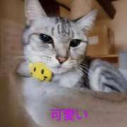 ヒメ日記 2025/12/08 13:56 投稿 かおり 人妻美人館