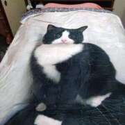 ヒメ日記 2025/12/15 14:59 投稿 かおり 人妻美人館