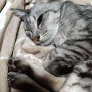 ヒメ日記 2025/12/17 10:22 投稿 かおり 人妻美人館