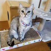 ヒメ日記 2025/12/18 15:48 投稿 かおり 人妻美人館