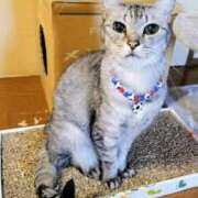 ヒメ日記 2025/12/19 15:22 投稿 かおり 人妻美人館