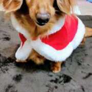 ヒメ日記 2025/12/24 01:03 投稿 かおり 人妻美人館