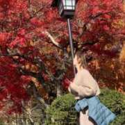 ヒメ日記 2026/01/05 14:36 投稿 かおり 人妻美人館