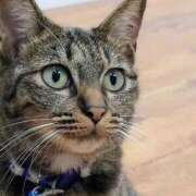 ヒメ日記 2026/01/15 19:28 投稿 かおり 人妻美人館