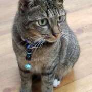 ヒメ日記 2026/01/31 14:43 投稿 かおり 人妻美人館