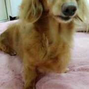 ヒメ日記 2026/03/04 20:13 投稿 かおり 人妻美人館