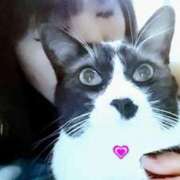 ヒメ日記 2026/04/04 12:30 投稿 かおり 人妻美人館
