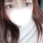 ヒメ日記 2026/01/24 15:20 投稿 なつき 大阪はまちゃん日本橋店