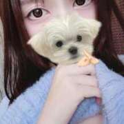 ヒメ日記 2026/01/29 21:50 投稿 なつき 大阪はまちゃん日本橋店