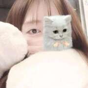 ヒメ日記 2026/02/01 08:50 投稿 なつき 大阪はまちゃん日本橋店