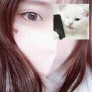 ヒメ日記 2026/02/04 09:30 投稿 なつき 大阪はまちゃん日本橋店