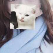 ヒメ日記 2026/02/09 09:20 投稿 なつき 大阪はまちゃん日本橋店