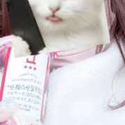 ヒメ日記 2026/02/10 09:20 投稿 なつき 大阪はまちゃん日本橋店