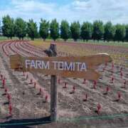 ヒメ日記 2025/12/15 11:53 投稿 あけみ 熟女デリヘル倶楽部