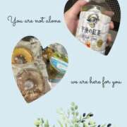 ヒメ日記 2025/11/23 15:12 投稿 みく スピード京橋店