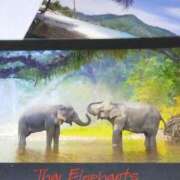 ヒメ日記 2026/03/06 14:18 投稿 まき 華椿（YESグループヨコハマ）