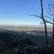 ヒメ日記 2025/12/18 00:23 投稿 もも TSUBAKI（水戸）