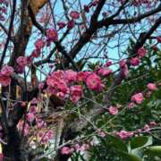 ヒメ日記 2026/02/04 15:47 投稿 一条えりか アロマージュ大宮