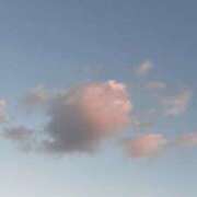 ヒメ日記 2025/11/20 18:28 投稿 ゆい めっちゃスイスク梅田店