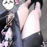 ヒメ日記 2026/03/12 00:02 投稿 れい いざ候 本館