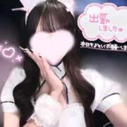 ヒメ日記 2026/04/23 08:17 投稿 れい いざ候 本館