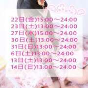 ヒメ日記 2026/05/20 01:27 投稿 れい いざ候 本館