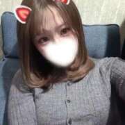 ヒメ日記 2026/02/13 13:57 投稿 りか 秋葉原鑑賞ガール