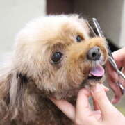 ヒメ日記 2026/04/01 15:33 投稿 ききょう 西川口淑女館
