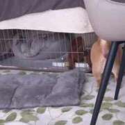 ヒメ日記 2026/03/08 15:49 投稿 ちろる One More奥様　八王子店