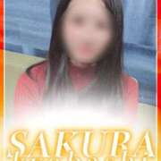 ヒメ日記 2025/11/18 12:14 投稿 みかん 奥さまさくら京橋店