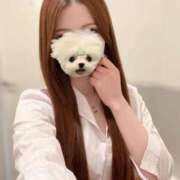 ヒメ日記 2026/04/13 15:44 投稿 柊木　うみ プルプル京都性感エステ　はんなり