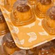 まの おひさ！? 池袋コスプレサンシャイン（シンデレラグループ）