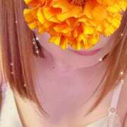 ヒメ日記 2025/04/23 14:30 投稿 なな 人妻美人館