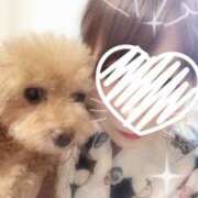 ヒメ日記 2025/08/20 23:44 投稿 なな 人妻美人館