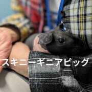 ヒメ日記 2025/03/13 14:49 投稿 ののか 人妻美人館