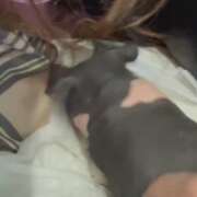 ヒメ日記 2025/04/03 12:09 投稿 ののか 人妻美人館